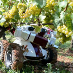 Jornada «El Papel de las Nuevas Tecnologías en la Agricultura»