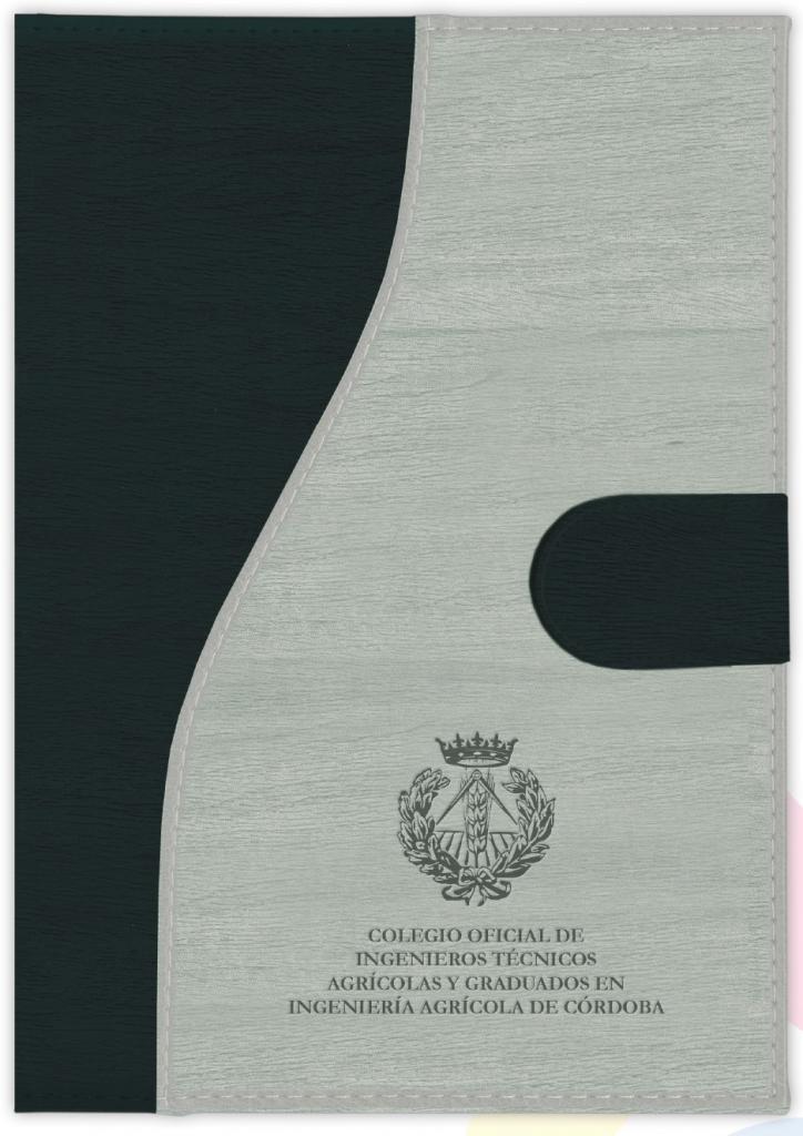Agendas 2021
