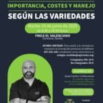 Jornada “Olivar de Alta Densidad: Importancia, Costes y Manejo según las Variedades”